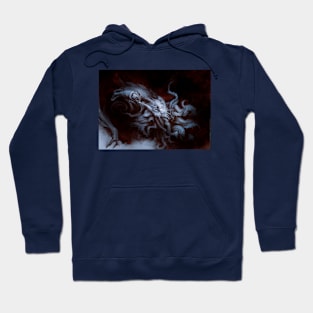 He is looking for you Hoodie